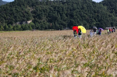Foto ilustrada (Fuente: VNA)