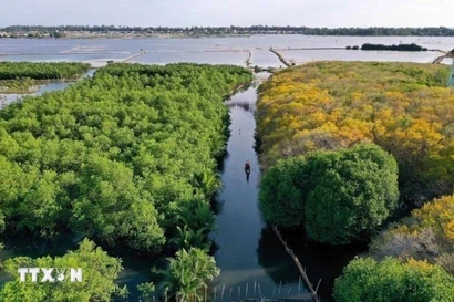 La ciudad centrovietnamita de Hue redobla sus esfuerzos para consolidarse como uno de los principales destinos de turismo sostenible de Vietnam (Fuente: VNA)