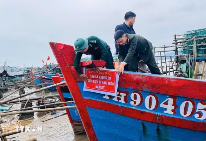 Quang Ninh impulsa gestión pesquera digital y modernización portuaria para superar "tarjeta amarilla" de la CE (Foto: VNA)