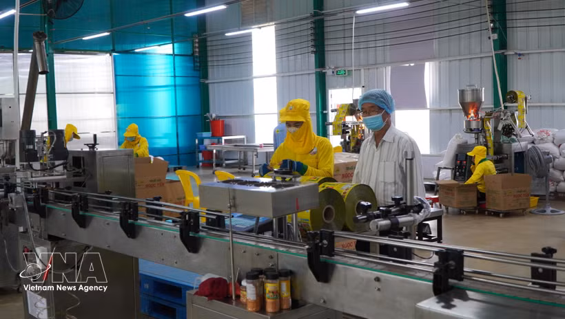 Cadena de producción de empresa Huong Bao Chau en la provincia sureña de Ca Mau. (Foto: VNA)