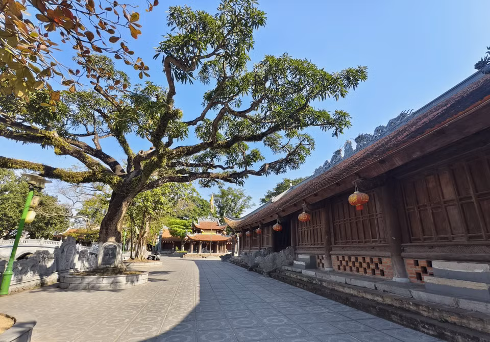 Dentro de la casa comunal se encuentran muchos árboles centenarios, algunos de ellos han sido reconocidos como “árbol patrimonio”. (Foto: VNA)