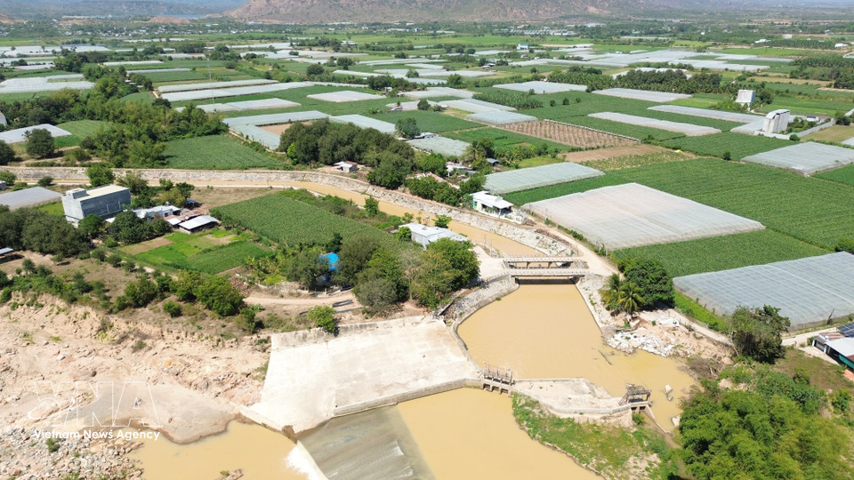 El sistema de canales derivados de la presa Nha Trinh se extiende a ambas orillas del río Cai Phan Rang y continúa ramificándose, suministrando agua a miles de hectáreas de tierras agrícolas. (Foto: VNA)