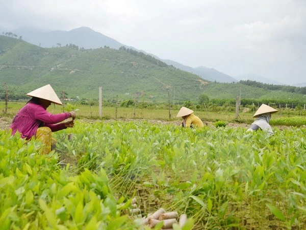 Participa Vietnam en Conferencia de Cancilleres de ASEM