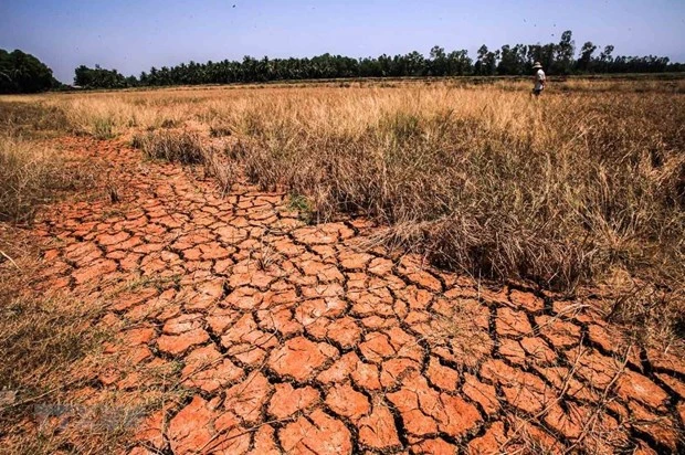 PNUD y Suecia apoyan a Camboya en respuesta al cambio climático 