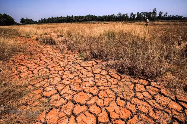 PNUD y Suecia apoyan a Camboya en respuesta al cambio climático 