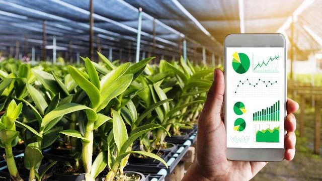 Provincia vietnamita de Vinh Phuc promueve transformación digital en la agricultura