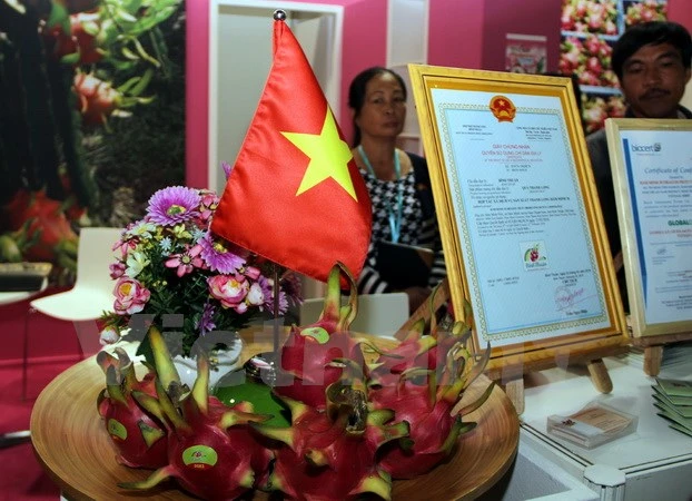  Pitahaya vietnamita presente en el Feria internacional de Berlín