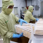 Vietnam diversifica mercados y productos de exportación