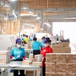 Gobierno vietnamita lanza plan de acción para fortalecer el sector privado