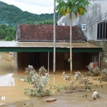 Hanoi aporta 196 mil dólares para ayudar a la provincia de Nghe An, afectada por las inundaciones. (Foto: VNA)
