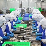 Exportaciones de productos acuáticos crecen 15,5 % en nueve meses