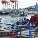 Las autoridades supervisan el proceso de llegada del pescado al puerto. (Foto: VNA)