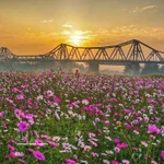 La belleza del Puente Long Bien, un símbolo cultural e histórico de Hanoi. (Foto: VNA)
