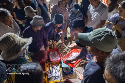 El ritmo sereno del mar en el mercado de pescado de Tam Tien 