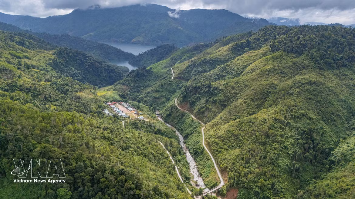 Despiertan potencial económico de zonas forestales y montañosas en Da Nang