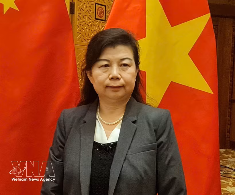 Liu Ying, investigadora del Instituto de Estudios Financieros de Chongyang de la Universidad Renmin de China. (Fuente: VNA)