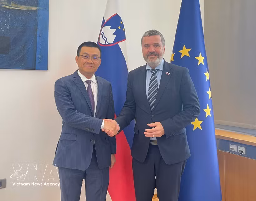 El embajador vietnamita en Austria y Eslovenia, Vu Le Thai Hoang, y el ministro de Asuntos Exteriores y Europeos esloveno, Tone Kajzer. (Fuente: VNA)