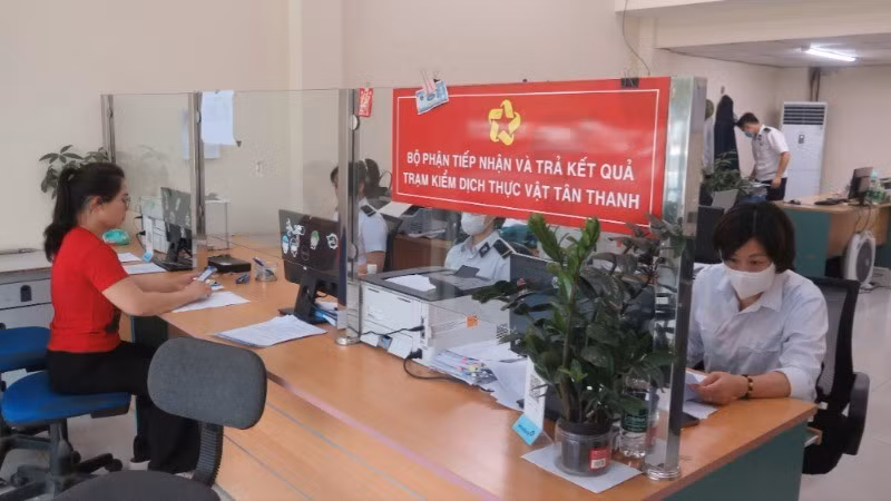 Recepción de registros de control fitosanitario de productos agrícolas antes de su exportación antes de su exportación. (Fuente: nhandan.vn)