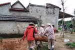 Un equipo del Grupo Asesor de Minas (MAG) detectó y desactivó con éxito una bomba sin explotar de casi 230 kilogramos en el jardín de una familia en la aldea de Nguyen Son, comuna de Cu Nam, provincia de Quang Binh. (Foto: VNA)