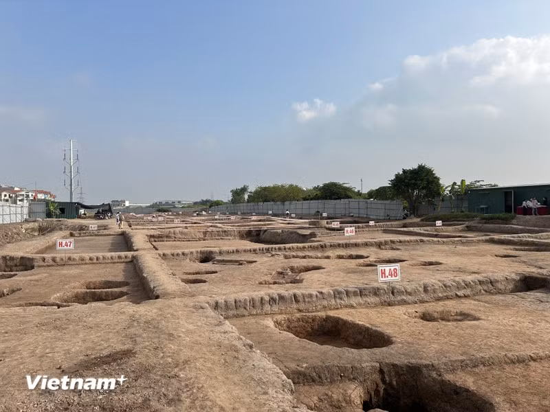 Los resultados de la excavación e investigación han proporcionado pruebas materiales que confirman la presencia temprana de seres humanos en lo que ahora es Hanoi. (Fuente: Vietnam+)