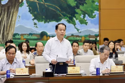 El ministro de Justicia de Vietnam, Hoang Thanh Tung, interviene en la sesión (Foto: VNA)