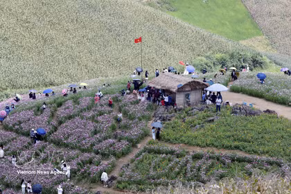 Numerosos habitantes y visitantes de Vietnam y Laos participan en las actividades culturales, deportivas y turísticas en la comuna de Long Sap, provincia de Son La. (Foto: VNA)