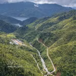 Despiertan potencial económico de zonas forestales y montañosas en Da Nang
