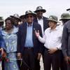 El presidente de la Asamblea Nacional de Vietnam, Tran Thanh Man, y su homólogo de Costa de Marfil, Patrick Achi, visitan un campo de demostración de variedades de arroz prometedoras para la cosecha de verano-otoño de 2026. (Foto: VNA)