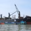 Transporte y carga de arroz comercial para exportación de la Corporación de Alimentos del Sur de Vietnam. (Foto: VNA)