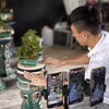 Impulsan transformación digital al servicio del desarrollo económico en localidades vietnamitas