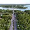 La zona forestal protegida de Can Gio abarca las comunas de Can Gio, Binh Khanh, An Thoi Dong y Thanh An, lo que crea un potencial significativo para el desarrollo del mercado de créditos de carbono. (Foto: VNA)