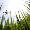 Aplicación de drones en la siembra, la fertilización y la fumigación con pesticidas. (Foto: VNA)