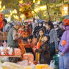 Actualidad: Vietnam celebra el Tet con alta movilidad y dinamismo turístico 