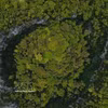 Una exuberante vegetación, con numerosos árboles de gran tamaño, crece en el interior de la dolina en la zona de Cha Noi - Khe Gat, en el Parque Nacional Phong Nha - Ke Bang, provincia de Quang Tri. (Foto: VNA)