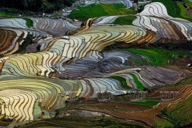 El sol del verano resplandece en el valle Cao Pha del distrito Mu Cang Chai. En Yen Bai hay casi dos mil 200 hectáreas de terrazas, que ostentan el título de patrimonio nacional declarado en 2007. (Fuente: VNA)