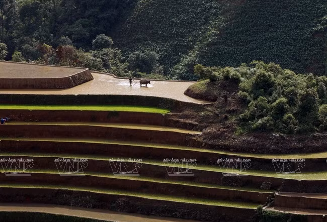 Hay mucho trabajo por hacer antes de que el terreno esté listo para la nueva producción. (Fuente: VNA)