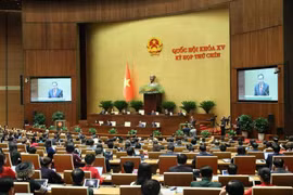 Panorama de la cita (Foto: VNA)