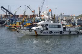 Las autoridades funcionales inspeccionan el puerto pesquero de Quy Nhon (Foto. VNA)
