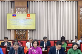 La presidenta del Comité del FPV de Hanoi, Bui Huyen Mai, interviene en la cita (Foto: VNA)