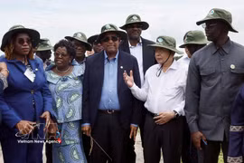 El presidente de la Asamblea Nacional de Vietnam, Tran Thanh Man, y su homólogo de Costa de Marfil, Patrick Achi, visitan un campo de demostración de variedades de arroz prometedoras para la cosecha de verano-otoño de 2026. (Foto: VNA)