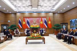 Panorama de la cita. (Foto: VNA)