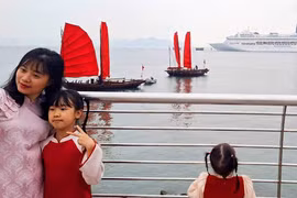Las velas rojas de los barcos prometen convertirse en un atractivo visual distintivo. (Fuente: Portal electrónico de Quang Ninh)