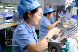 Actividades de producción en Fancy Industrial Co., Ltd., una empresa de propiedad china ubicada en el Parque Industrial Pho Noi A, provincia de Hung Yen. (Foto: VNA)