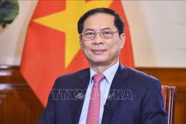El viceprimer ministro y ministro de Relaciones Exteriores de Vietnam, Bui Thanh Son (Foto: VNA)