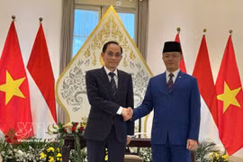 El ministro de Relaciones Exteriores de Vietnam, Le Hoai Trung (izquierda), y su homólogo indonesio, Sugiono. (Foto: VNA)