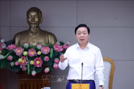 El viceprimer ministro vietnamita Tran Hong Ha preside la reunión (Foto: VNA)
