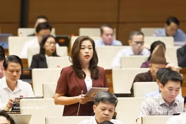 La diputada Doan Thi Le An, de la provincia de Cao Bang, interviene en la sesión. (Foto: VNA)