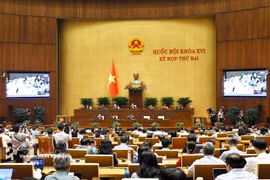 Panorama de la cita. (Foto: VNA)