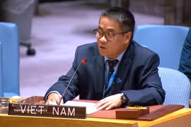 El ministro consejero Nguyen Hai Luu, representante permanente adjunto de Vietnam ante la ONU. (Foto: Archivo de VNA)