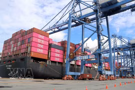El sistema logístico portuario crea oportunidades para promover con fuerza la cooperación bilateral entre Italia y Vietnam. (Foto: VNA)